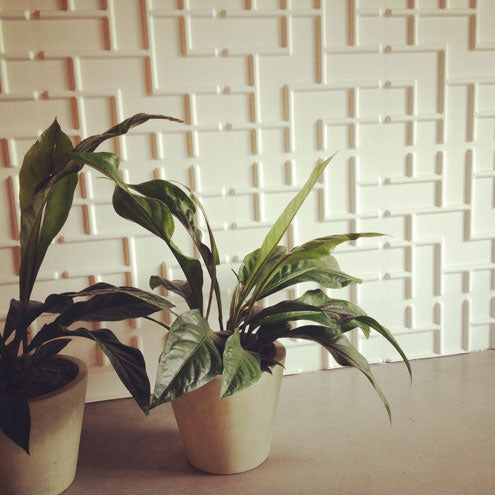 Modelo Pac-Lines 3D Walls PR